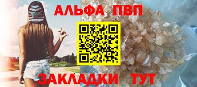 индика Гусев