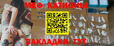 гидра Будённовск