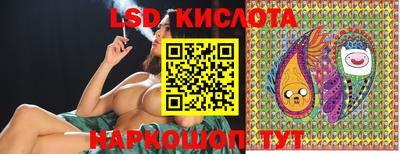 гидра Будённовск