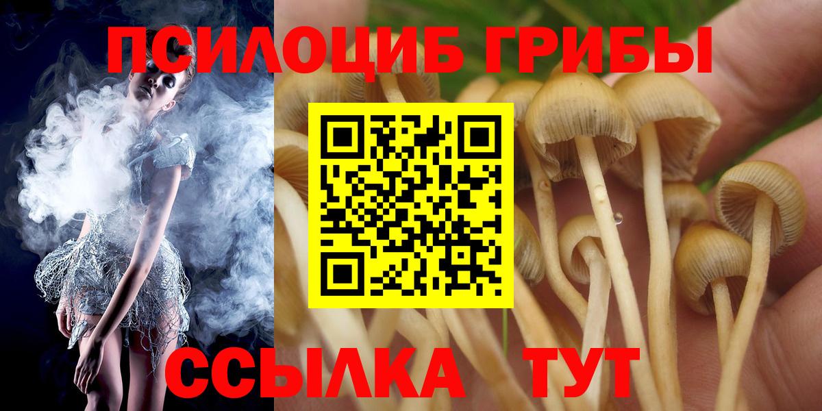 Псилоцибиновые грибы Cubensis  цена   Когалым  Псилоцибиновые грибы прущие грибы 