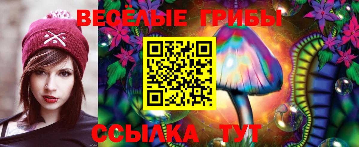 Галлюциногенные грибы Psilocybine cubensis Когалым