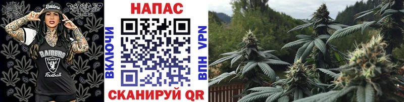 гидра Когалым Каннабис Bruce Banner